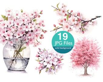 Akvarell Sakura Clipart: Japanska körsbärsblomsgrenar (19 JPG-filer)