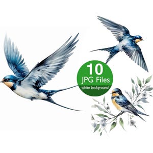 Clip art de pássaro andorinha, clipart de natureza em aquarela JPG, artesanato em papel, convite, planejador, diário de lixo adesivo, álbum de recortes
