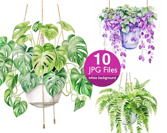 Hängande växter clipart, JPG krukväxt akvarell clipart, grönska digital konst