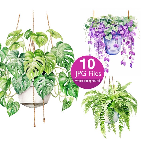 Hanging plants clip art, JPG house plant watercolor clipart, greenery digital art