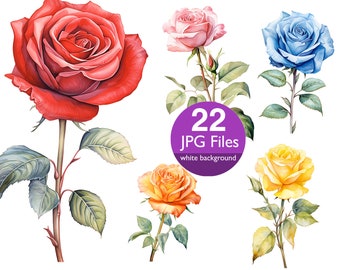 Clipart de roses aquarelle, JPG Rose avec tige clipart, fleurs pour faire-part de mariage, planificateur, journal indésirable autocollant