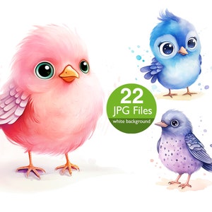 Imágenes prediseñadas de pájaros lindos, imágenes prediseñadas de pájaros de acuarela JPG, artesanías de papel, invitación, planificador, diario basura de pegatinas, álbum de recortes