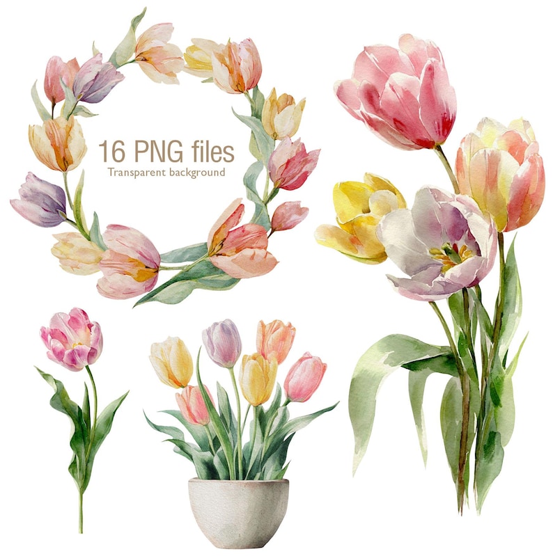 Watercolor Tulip Clip Art, Spring Flowers PNG, Botanical Floral ...