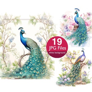 Imágenes prediseñadas de pavo real, imágenes prediseñadas de pájaros en acuarela JPG, manualidades de papel con plumas, invitación, planificador, diario basura con pegatinas, álbum de recortes