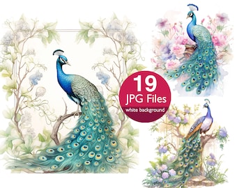 May include: Watercolor illustrations of peacocks with vibrant blue, green, and turquoise plumage. The images feature the birds perched on branches and surrounded by floral elements. The text "19 JPG Files white background" is included.