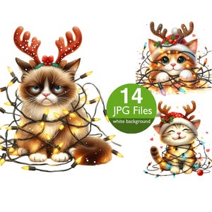 Weihnachts Katze Clip Art, JPG Katze verstrickt in Weihnachtslichter Clip Art, für Nvitation, Papierhandwerk, Einladung, Planer, Junk Journal