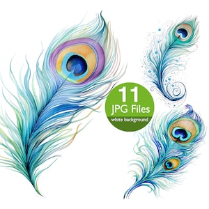 Watercolor Peacock Feather Clipart: Scrapbook & Planner Graphics (JPG Files)