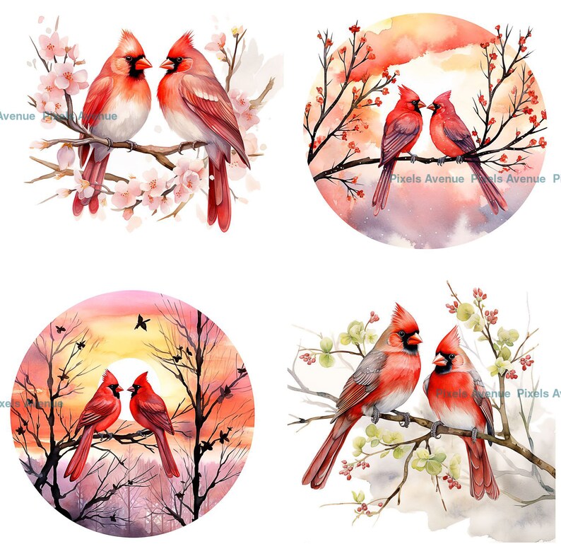 Red Cardinal Watercolor Clipart: Bird Illustrations for Scrapbooking ...