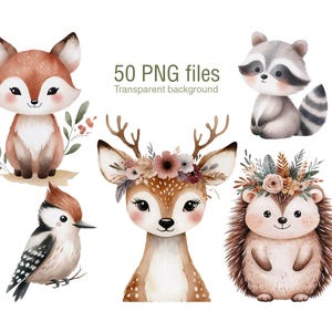 Clipart aquarelle Boho Woodland Animal Clipart PNG, renard png, cerf, hibou, téléchargement numérique, journal indésirable, pour la fabrication de cartes, conception par sublimation