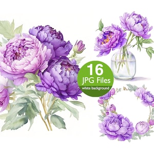 Pfingstrose ClipArt, JPG Pfingstrosen, Blumen Aquarell Clipart, Blumen für Hochzeitseinladung, Planer, Aufkleber Junk Journal