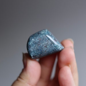 Ruby in Kyanite Tumbled Palm Stone
