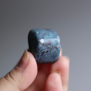 Ruby in Kyanite Tumbled Palm Stone
