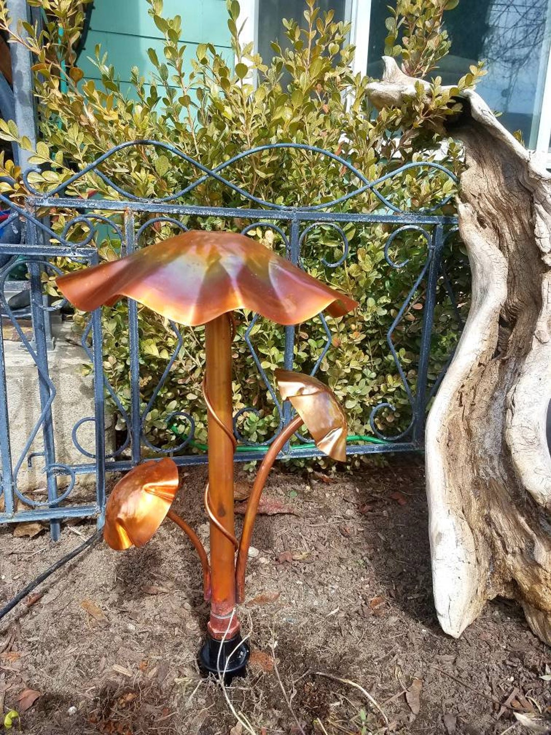 Large Copper Mushroom Trio Etsy