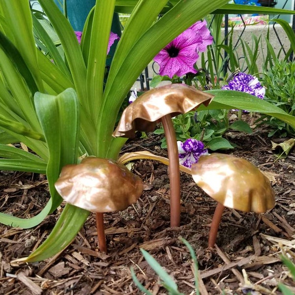 Fairy Garden Mushrooms