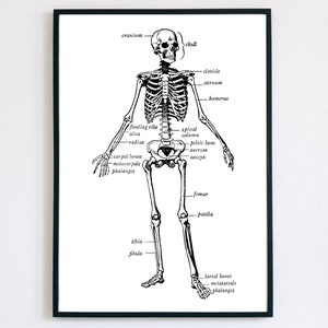 Skeleton White & Black / Decoración de pared de Halloween / Impresión de arte de pared / Tipografía / Archivo digital / Descarga digital