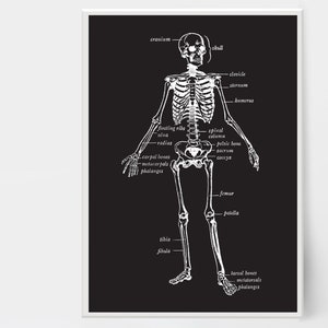 Skeleton Black & White / Decoración de pared de Halloween / Impresión de arte de pared / Tipografía / Archivo digital / Descarga digital