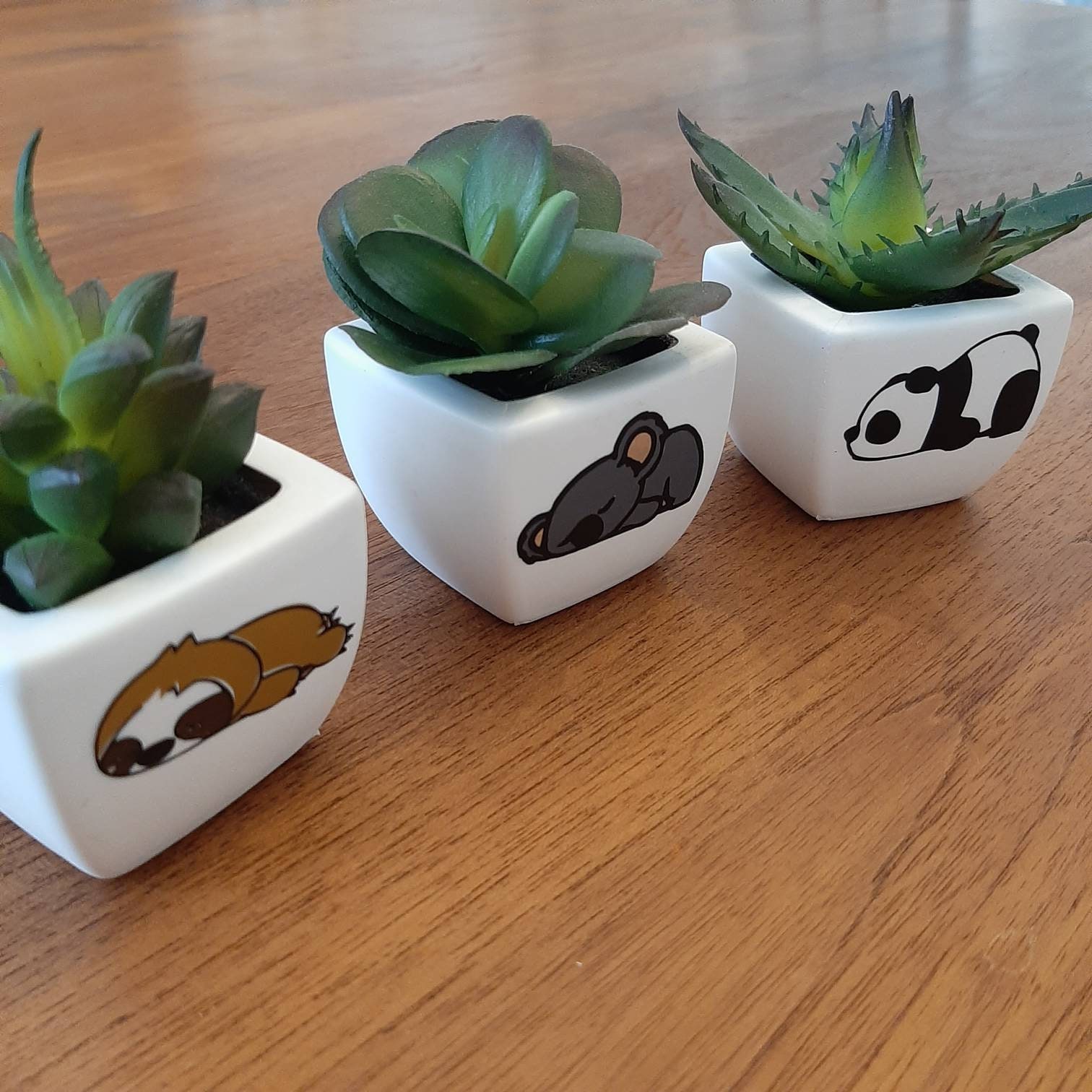 Petits Pots de Succulentes - Décoration Paresseux | Fausses Plantes | Koala Panda