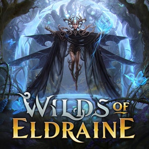 WOE - Justyna Dura ( Gil ) MtG AP - Wilds of Eldraine - Magic: the Gathering Artist Proof & Original Art