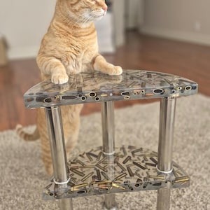 May include: A unique side table with a clear resin top and shelf, embedded with bullet casings. The table has a chrome frame and legs. An orange tabby cat stands on the table, looking to the side. The table is on a light-colored carpet.