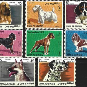 World Stamps MNH Pets Dogs Best Pictures of any Animals  Lot of 8 1128