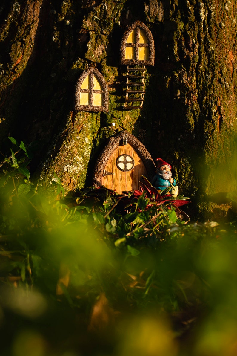 Fairy Door and Windows for Trees Glow in The Dark Fairy Tree Door fairy garden Fairy house Fairy door for trees gnome door image 2