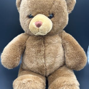 1983 Gund Teddy Bear - Etsy