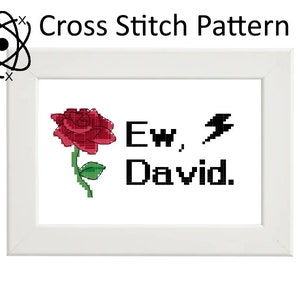 Ew, schema punto croce David