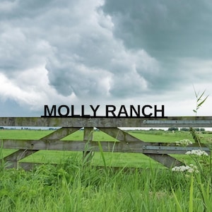 Custom Metal Farm Sign: Personalized Entrance Gate Sign
