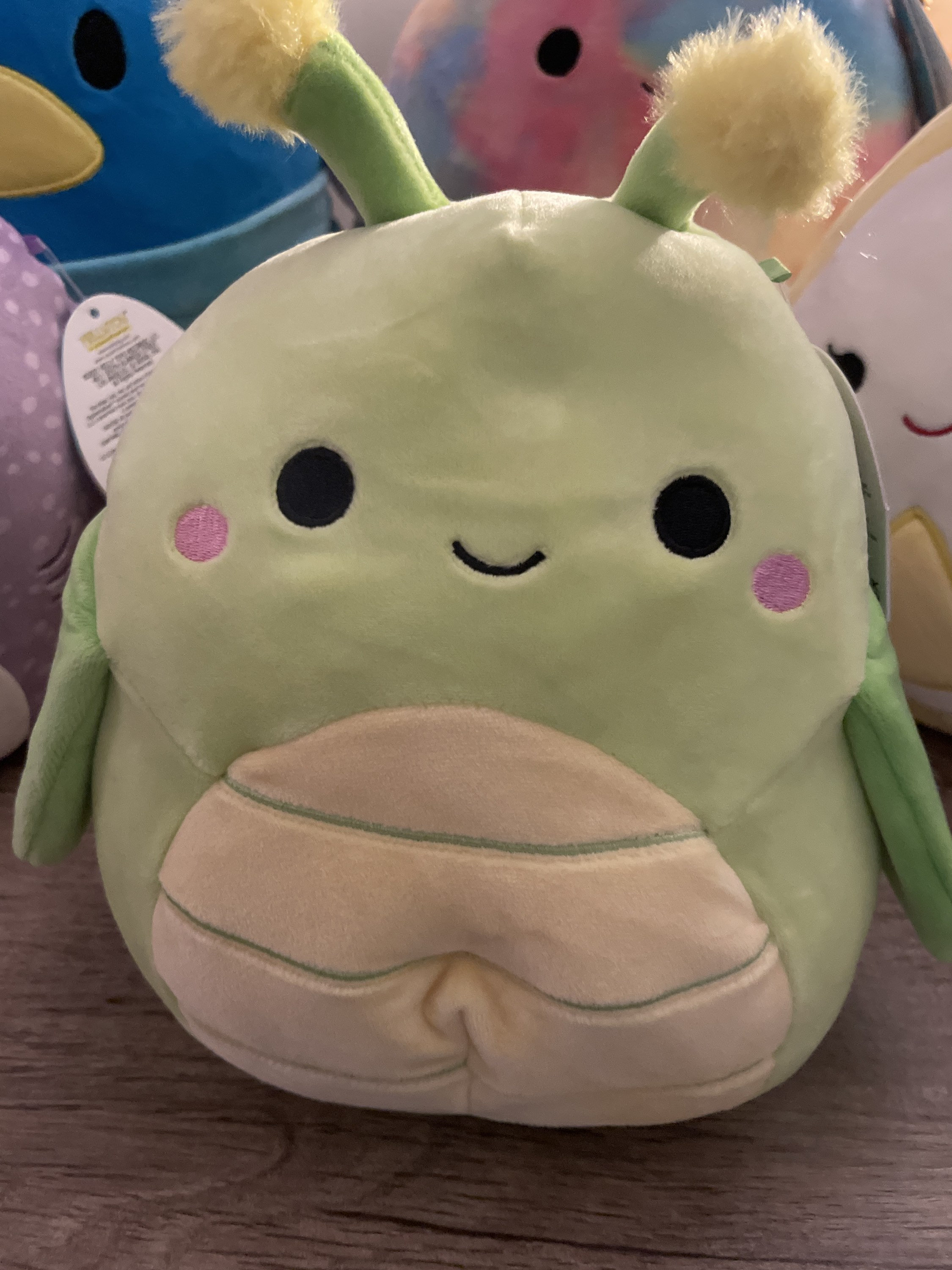 insect squishmallows