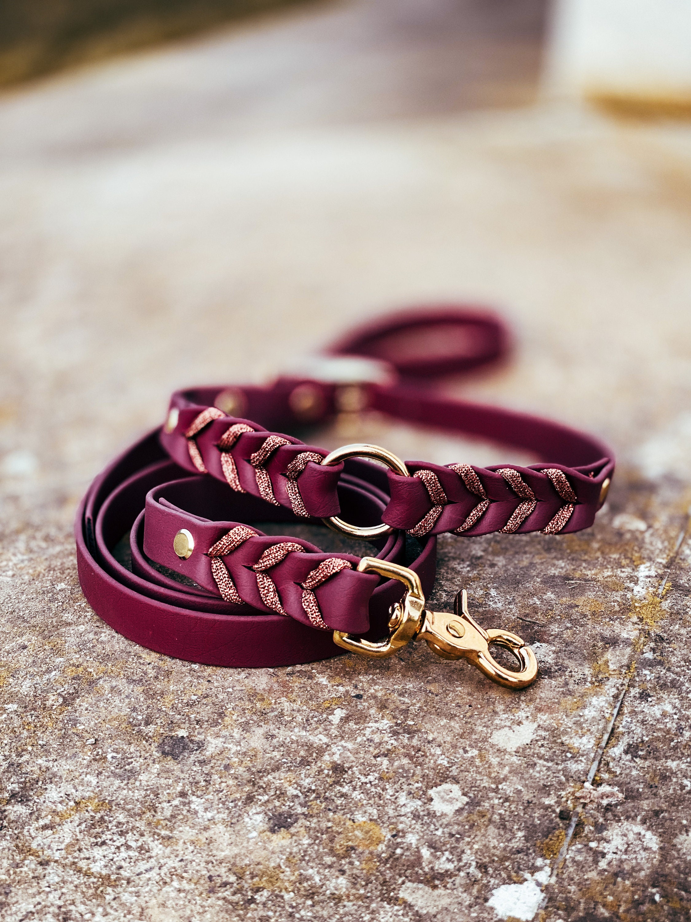 Ensemble Beauty - Collier + Laisse