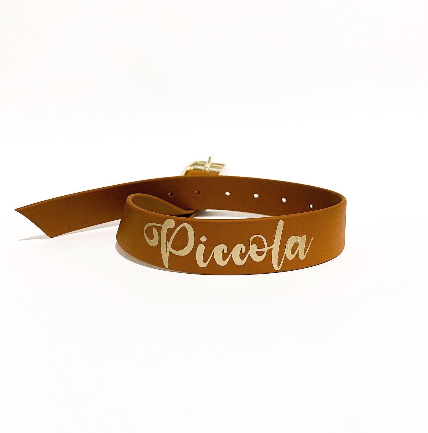 Collier Standard Biothane Personnalisable, 25mm; 20mm; 16mm; Accessoire Chien, Dog, Personnalisé