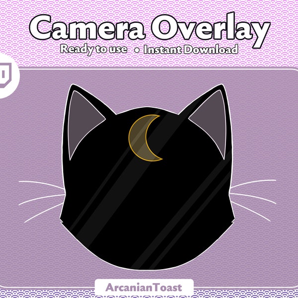 Cat Camera Overlay