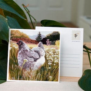 Carte postale - Vie à la campagne - Poulet - 12,1 x 12,1 cm