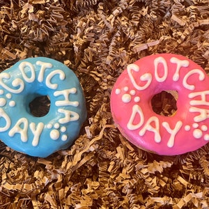 Gotcha Day donut treat- CupCake Gift Box- Gotcha Day Dog Treats- Dog Birthday Treats- Birthday Dog Treat Gift Box-Barkday