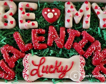 Be My Valentine PERSONALIZED Gift Box with YOUR DOGS name- Valentines Day Dog Treat- Cute Dog Treats