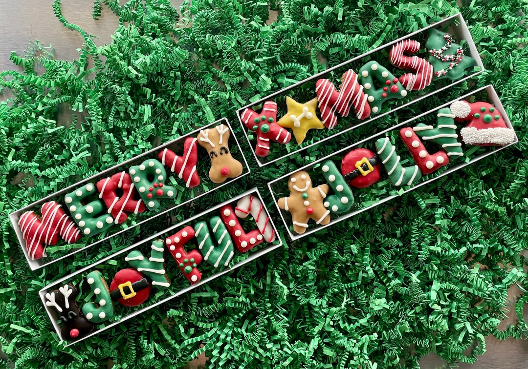 Dog Treat Gift Box Winter Dog Treats Christmas Dog