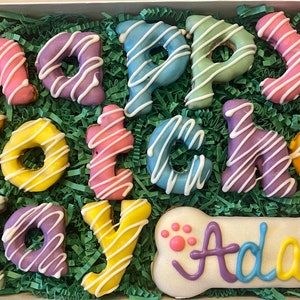 Happy Gotcha Day PERSONALIZED Colorful Dog Treats Gift Box / Happy Barkday Treats, Iced Treats, Gotcha Day Treats- Cute dog treats