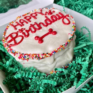 BIG Red Happy Birthday Doggie Cake / Birthday Dog biscuits/ Happy Gotcha Day Decorated Dog Treats