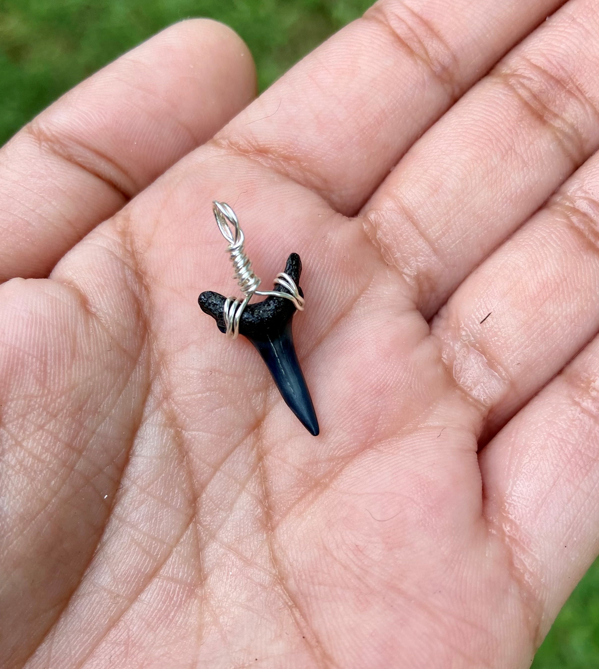 Wire Wrapped Fossilized Shark Teeth Necklace Etsy