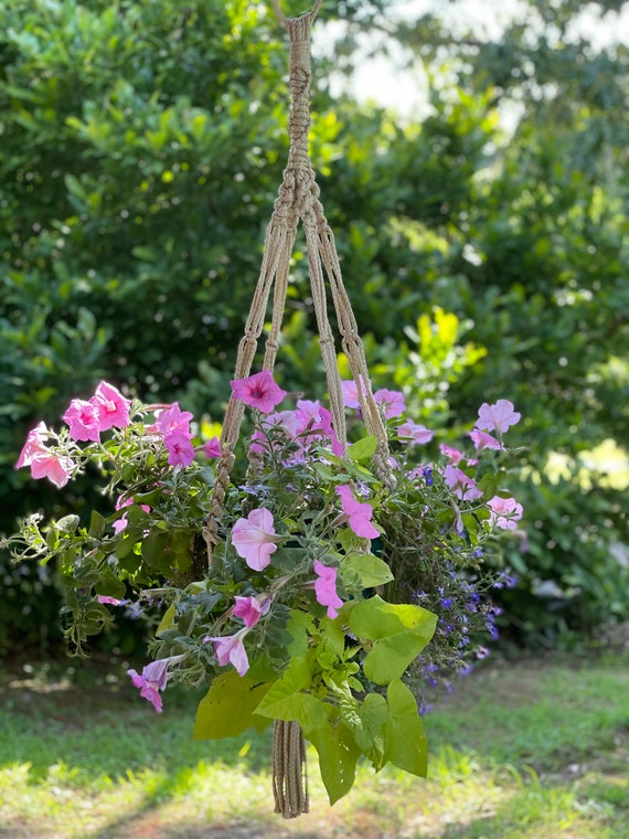 Hanging Plant Holder Macrame Plant Hanger - 3 Pack Indoor Hanging ...