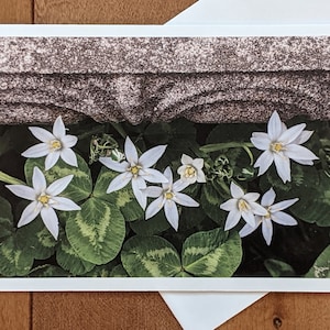 Carte de voeux vierge photo de fleurs sur papier recyclé