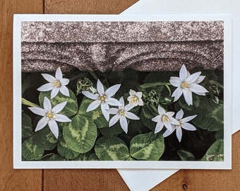 Blank Greeting Card Photo of Flowers on Recycled Paper
