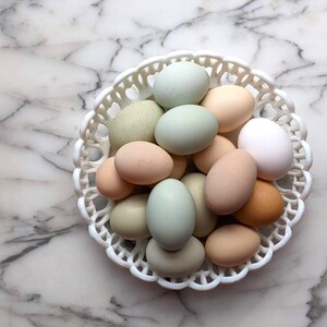 Oeufs de Pâques Carte de voeux Printemps blanc recyclé jolis oeufs pastel vie à la ferme