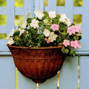 Jolies fleurs sur une porte de jardin bleue, carte de vœux vierge pour toute occasion en papier recyclé en Ontario