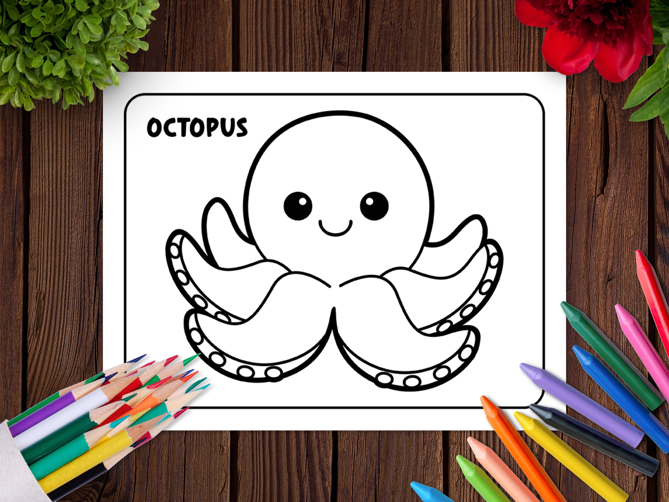 Sea Animals Coloring Pages [PDF] - Copy the Color - Digital Download - Etsy