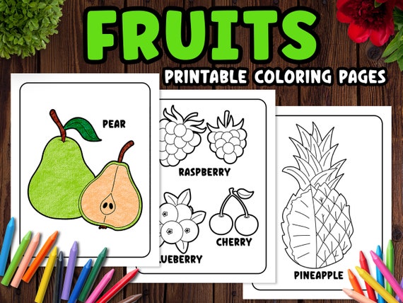 Fruits Printable Coloring Pages PDF Copy the Color Etsy Fruits Printable Coloring Pages PDF Copy the Color Etsy