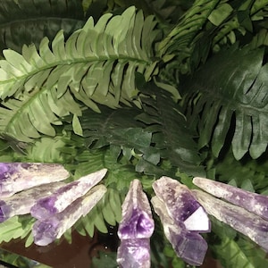 May include: A group of seven amethyst crystal points, each with a pointed tip and a natural, rough texture. The crystals are a deep purple color and are arranged in a semi-circle on a reflective surface.