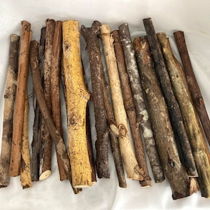 Santeria Sticks for Religious Rituals, Palos de Santeria, Palo, Yoruba, Ifa, Osha, Prenda, Egun,Palo Mayombe Sticks