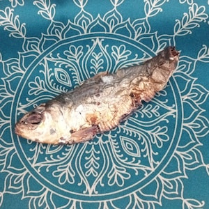 Pescado Ahumado, Smoked Fish, Santeria, Ifa, Osha, Palo, Santo, Iyawo, Elegua, Oggun,Orisha,Ochosi,Yoruba,Eku Eya Awado, (SIZEAS VARY)