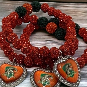Florida HBCU Bracelets